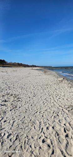 Bãi biển, Ferienhaus-Windflüchter Hirtenweg 3B (Ferienhaus-Windfluchter Hirtenweg 3B) in Zingst