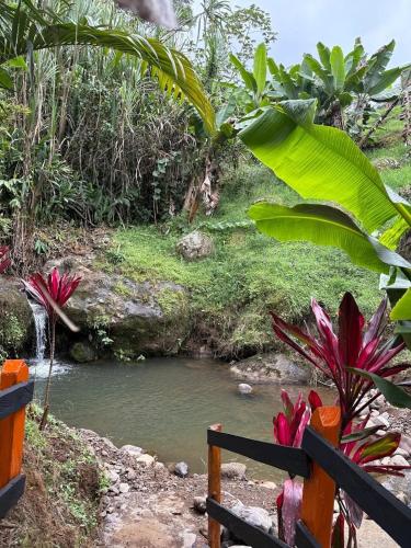 Hostal Finca Los Girasoles