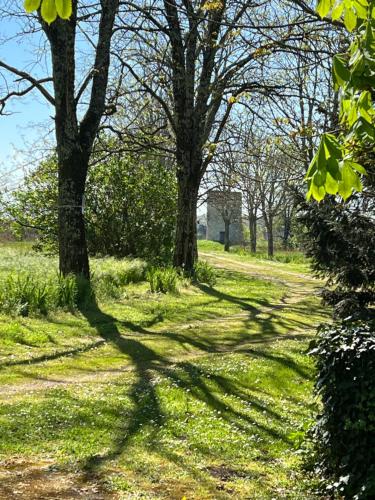 Dārzs, Domaine des Gorins in Les Lèves-et-Thoumeyragues
