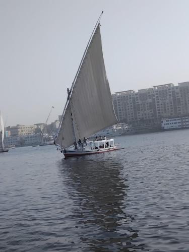 Royal Felucca - Shared Amazing Sailing – khách sạn tại Abu AR Rish Qebli
