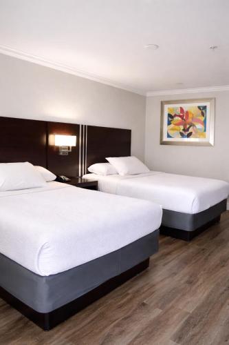 Fairview Inn and Suites Room Type - Queen Room with Two Queen Beds