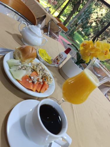 Hotel Sancer in Villarrica