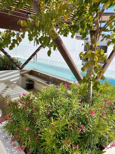 Departamento con Jacuzzi en Playa del Carmen - image 3