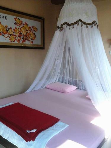 Monkey Business Tours and Accommodation - Sampe Raya Monkey Business Tours and Accommodation - Sampe Raya