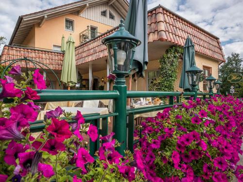 Hotel Mutz - image 14