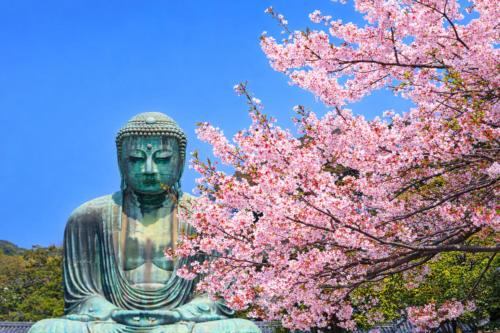 Reserved for 10 people 1 minute walk to the beach 6 minutes to Hase Station 12 minutes to the Great - Kamakura