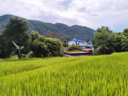 Фасада на хотела, Kartiya Village Homestay in Amrora