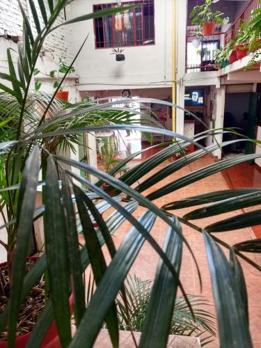Létesítmények, Hotel El Turista in San Agustin