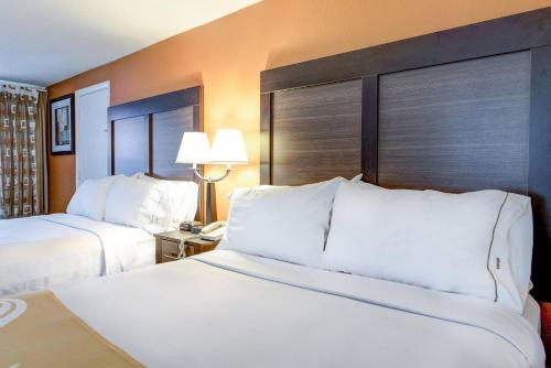 Quality Inn Creekside - Downtown Gatlinburg - image 41