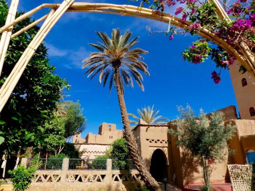 Riad Tabhirte in Agdz