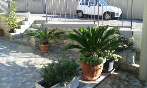 Il Pergolato – Matera, TX