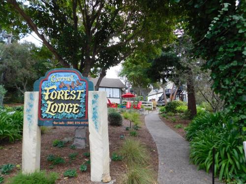 Forest Lodge - Accommodation - Carmel