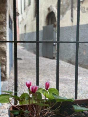  Duomo Nest entire apartment in Trient