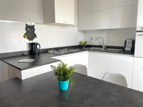 virtuve, La Perla Apartment in Grinzane Cavour