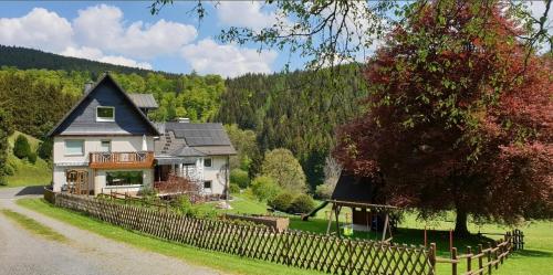 Fewo Birgit Dickel in Hoheleye