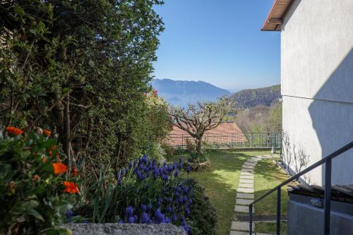 Iekārtas, Al Pianaccio in Trarego Vidžiona