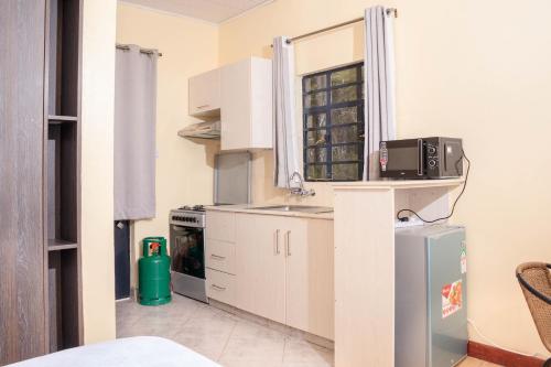 Holiday Home 10Mins to Ol Pejeta in Nanyuki - 2 Seperate Studios in 納紐基