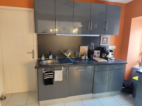 virtuve, Gîte de la Pare (Gite de la Pare) in Oluaksa