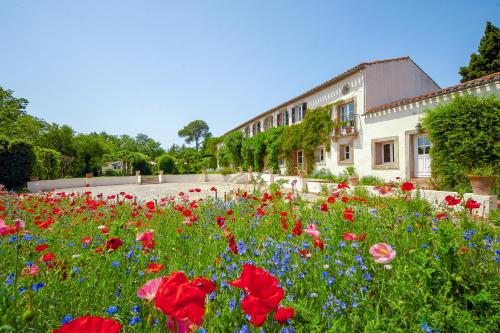 Domaine de Cascaret - sleeps 16 - July - August only in Montreal (Languedoc-Roussillon)