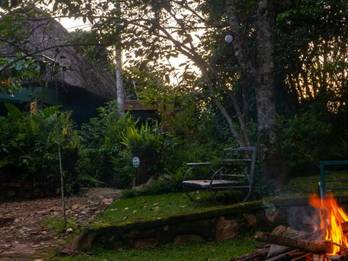 Mpanga Nature Center in Mpigi