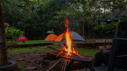 Mpanga Nature Center in Mpigi