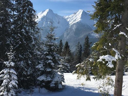 Wellness Penzion Strachan obrázok