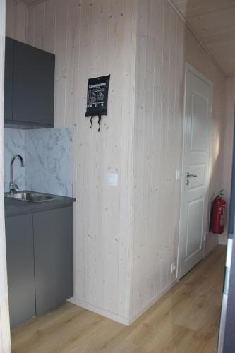 virtuve, Svala Guesthouses in Fjall