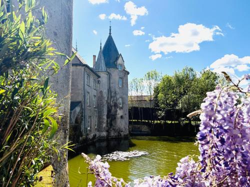 Chateau de la Preuille Bed & Breakfast - Le Pallet