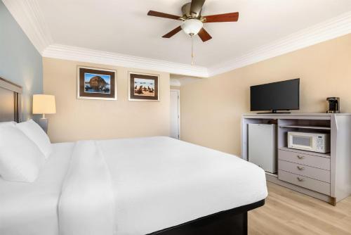 Best Western Tradewinds - image 41