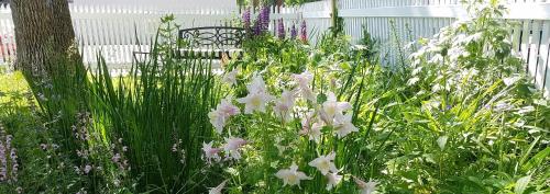 Garden Wall Inn - image 4