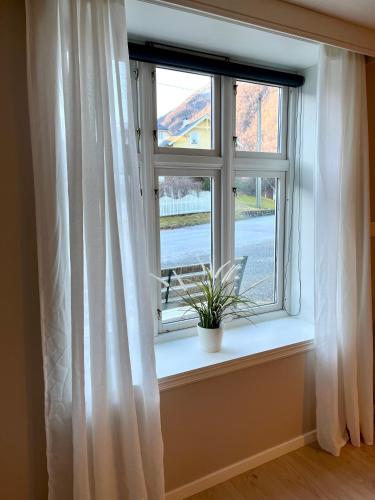Villa Holmen, ground floor apartment in Balestrand City Center