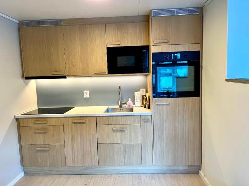 Villa Holmen, ground floor apartment in Balestrand City Center