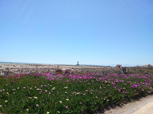 Super App 4p ! - Location saisonnière - Leucate