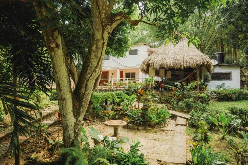 Viesnīcas āriene, Manigua Tayrona Hostel in Jordan