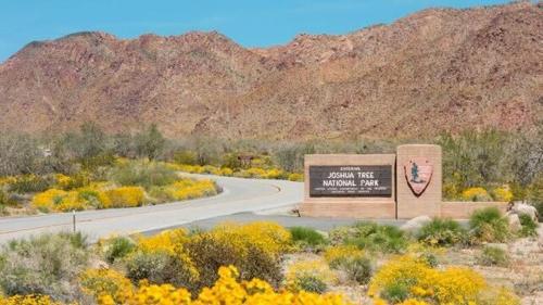 15 min to JT Park Hot Tub Cute Design Full Kitchen in Yucca Valley, USA