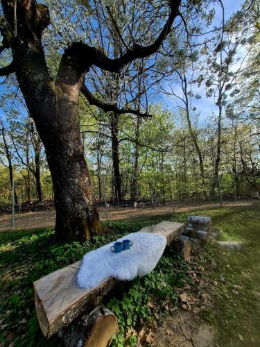 Tinyhouse mit Alpakas - Ruhe &Natur Rosmarinzeit Südburgenland (Tinyhouse mit Alpakas - Ruhe &Natur Rosmarinzeit Sudburgenland) in Gerersdorf Bei Gussing