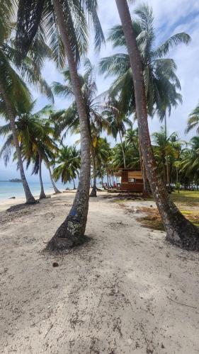San Blas Private Island Glamping Demar Achu in El Porvenir