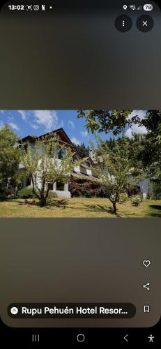 Rupu Pehuen Resort - image 3