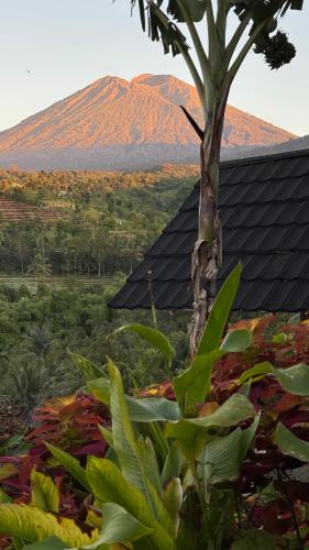 Laa Cabana Lombok Glamping - Sambelia
