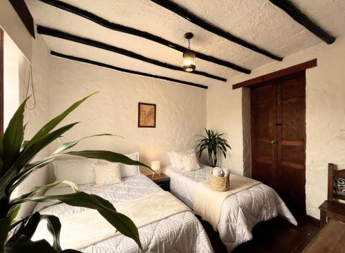 1 double bed, 1 twin bed