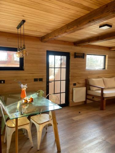 Tiny Under Chalet in Farellones