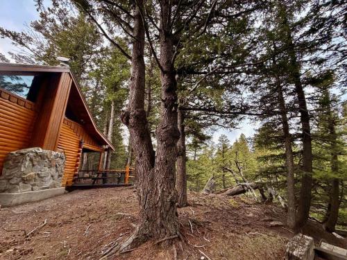 The Cabin at Griffin Falls in East Glacier Park (MT)