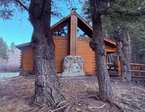 The Cabin at Griffin Falls in East Glacier Park (MT)