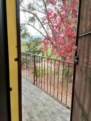 Apartment a 20-minute drive from downtown Oaxaca in Santa María Del Tule