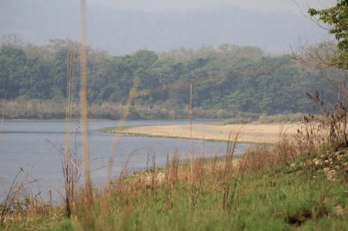 Tharu Community Homestay No 1 in Meghauli