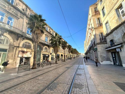 View, Paillotte bambou-Montpellier centre 10minutes - 35m2 terrasse- parking in Castelnau-le-Lez