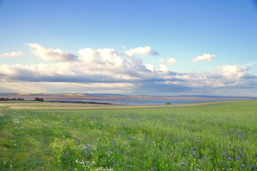 外部景觀, Little Dunbar in 柯克賓