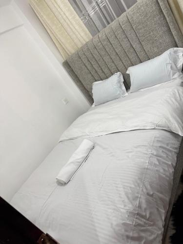 Morena serenity suites meru in Meru
