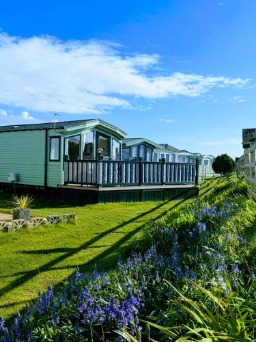 Peacehaven, Ynyslas, Borth in Borta