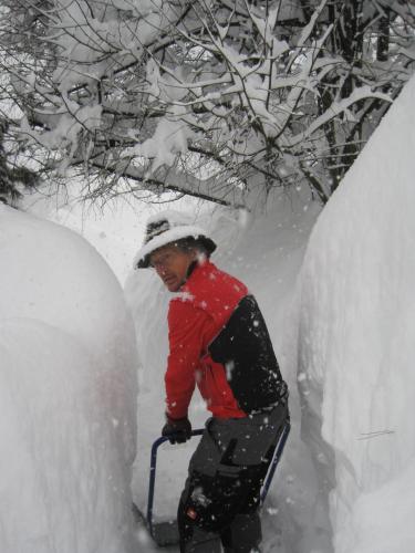 Haus der Sonne - main image